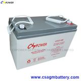 SMF Rechargeable Lead Acid Battery 12V100ah for UPS