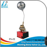 Stainless Steel Float Ball Switch (FS-01)