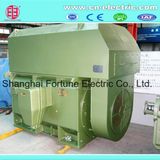 Ykk 6~11kv Middle-Size High-Voltage Asychronous Motor