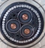 N2xseygby Medium Voltage 3 Core Cu/XLPE/Swa/PVC Armoured Power Cable