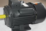 220V Single Phase Induction Small Electric Motor with Starting Capacitor