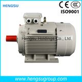 Ye3 37kw-2p Three-Phase AC Asynchronous Squirrel-Cage Induction Electric Motor for Water Pump, Air Compressor