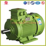 Three Phase Asynchronous Electric Motor 220 V 5 HP