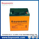 Car Motive Power Battery Gel Deep Cycle Battery Mower Battery