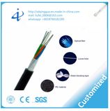 Fiber Optic Cable Communication Cable with 12 Core Light Armored
