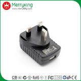 5V 1.0A USB Chargers with Double-Side Board and UL/cUL/GS Marks