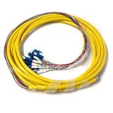 12 Fibers Distribution Cable LC/Sc/FC/St Bundle Multi Cores Fiber Optic Pigtail
