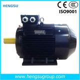 IE2 IE3 High Efficiency Asynchronous AC Electric Three Phase Induction Water Pump Air Compressor Squirrel Cage Motor