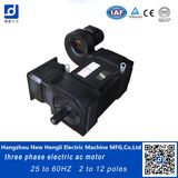 China Variable Speed High Torque AC Motor