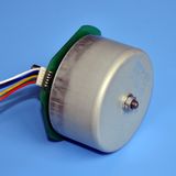 High Quality Brushless DC Motors for Automobile Application (6030S)