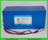 Rechargeable 36V 20ah Lithium LiFePO4 Battery Pack with Ce Approved