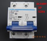 2p 125A DC440V MCB Solar Energy Photovoltaic PV Mini DC Circuit Breaker
