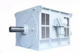 3500kw 10kv 600rpm Squirrel Cage AC Electrical Motor