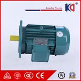 Ultra-Efficient Yx3 Series 3phase AC Induction Motor with Wholesale Price
