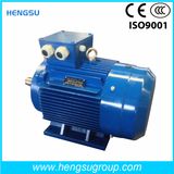 Ye3 0.55kw-6p Three-Phase AC Asynchronous Squirrel-Cage Induction Electric Motor for Water Pump, Air Compressor
