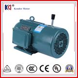 Three-Phase Asynchronous Brake Motor with 380V