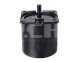 AC Reversible Synchronous Motor with High Torque