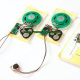 Recording Music Module
