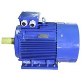 1HMI-Ie1 (EFF2) Series Cast Iron Housing Three Phase Asynchronous Motor