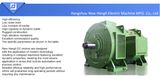 NHL Zzj -818 DC Electric Motor
