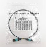 MPO-MPO Optical Fiber Patch Cord with Bare Fiber for Fiber Optic Data Transmission