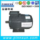 Y2 Series Squirrel Cage Induction Motor