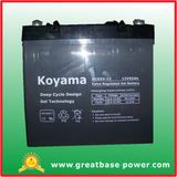 Good Quality Deep Cycle Gel Wheelchairs Battery Dcg55-12 (12V 55Ah)