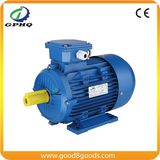 Ms-132s-4 7.5HP 5.5kw 220/380V Aluminum Body Squirrel Cage Asynchronous Motor