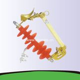 12kv Polymer Housed Cutout Fuse Cfs-7A-12-350 a