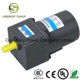 EVA AC Reversible 40W 90mm Gear Motor