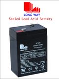 6V5ah VRLA Storage Battery for Weighing Scale
