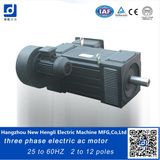Three Phaae Blower 380V 50Hz 6poles Electrical AC Motor