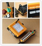 F21-14s China Manufacturer Crane Wireless Remote Control