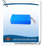 24V Shrink Battery Pack for E-Bike