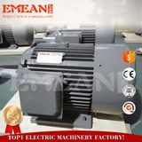 Competitive Price 10HP Ce Approved Electric Motor with Small Battery