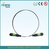 8 Core/12 Core/24 Core MPO/MTP Optical Fiber Patchcords