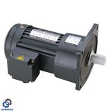 Light Duty Small Geared Motor Reducer High Ratio Brake Motor_D