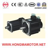 St Series Servo Motor/Electric Motor with CE (1kw) /220V
