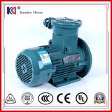 Single Phase Energy Saving Ex-Proof AC Motor