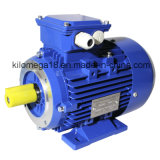 Three Phase Cast Iron Electric Motor with ISO