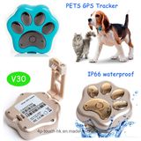 Cute Pet GPS Tracker with Waterproof IP66 (V30)