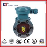 220V Induction Electric Yb3 Series Explosion Proof Motor