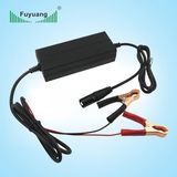 Input DC10-15V Output 6A 12V Car Battery Charger