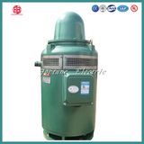 IEC IP55 H Insulation 40HP Three Phase Induction Motor