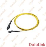 MTRJ Fiber Optic Patch Cord