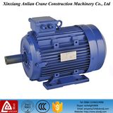 IEC Standard 3 Phase AC Electro Motor 1450 Rpm Motor