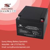 Rechargeable UPS Batteries AGM Battery 12V 24ah
