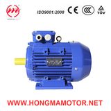 Aluminum Three Phase Variable Speed Induction Motor