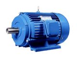 Hot Sale Three Phase Electric Motor with ISO System Certificates