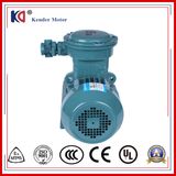 Yb3 Series Flameproof Three-Phase Induction Electric Motors